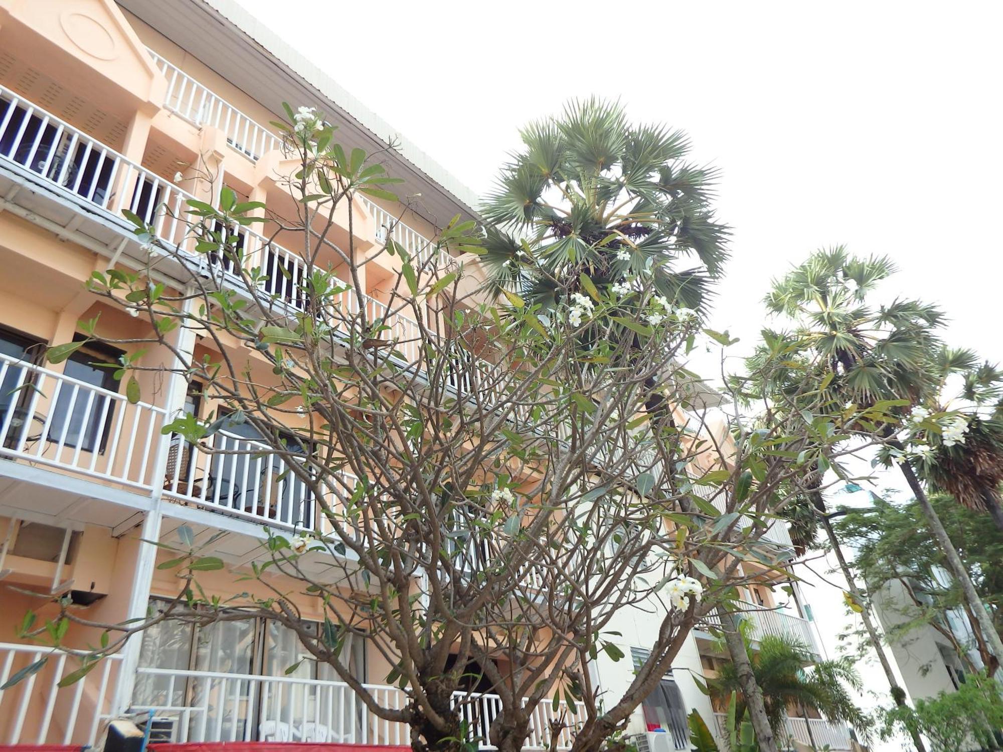 Boomerang Inn Phuket Luaran gambar