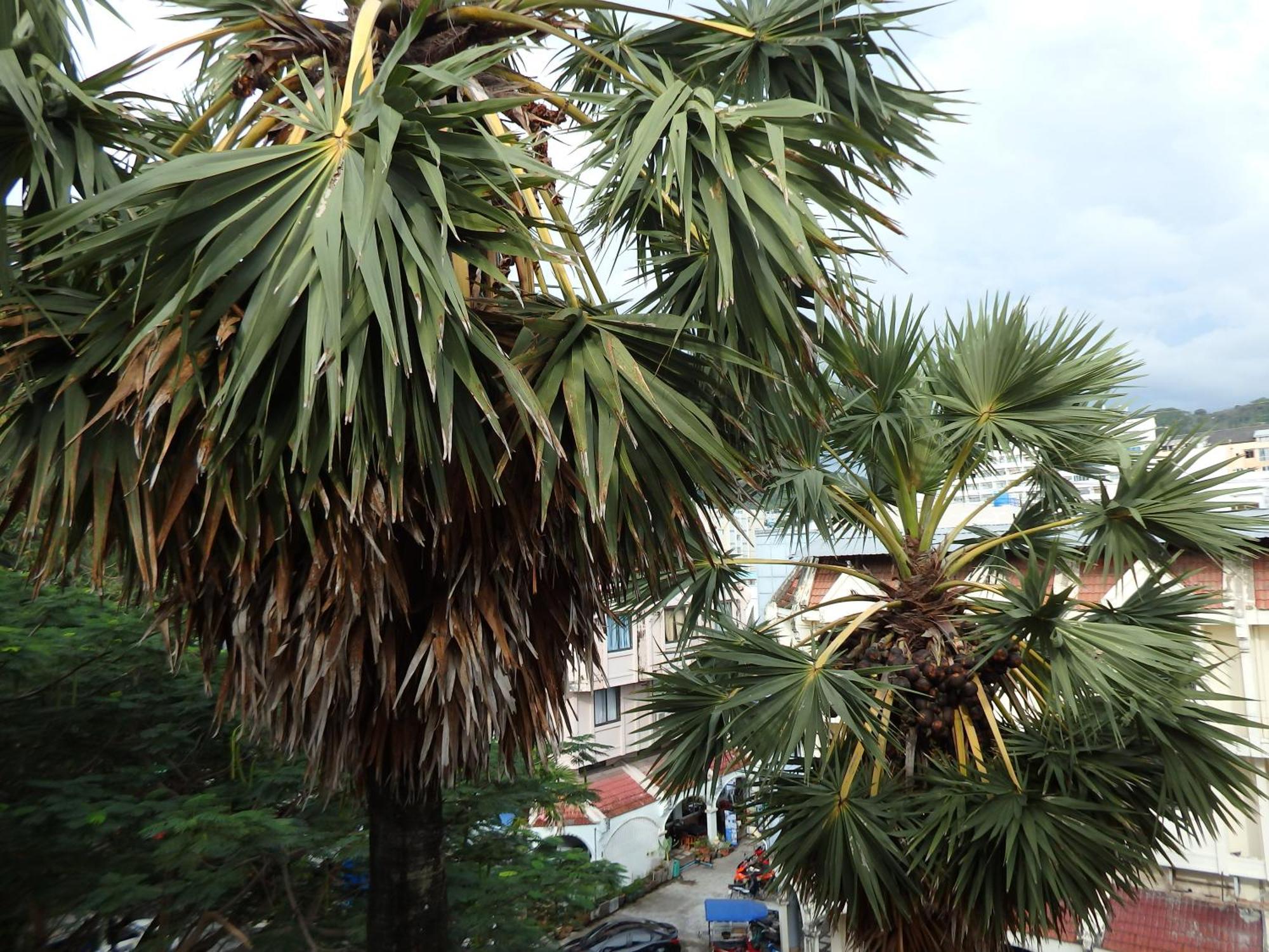 Boomerang Inn Phuket Luaran gambar